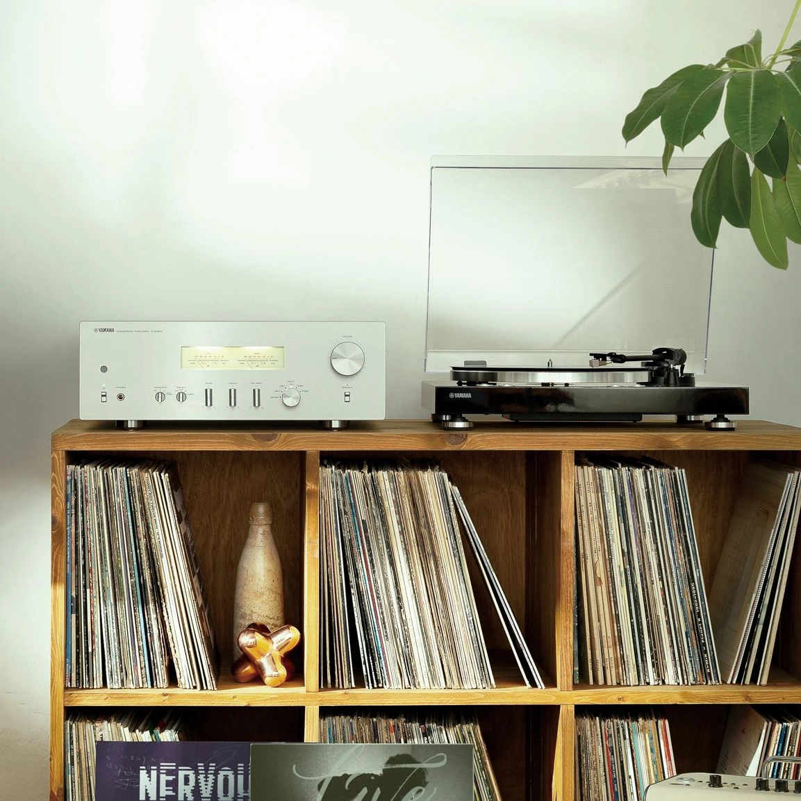 Yamaha A-S1200 Integrated Amplifier 6 Yamaha A-S1200 Integrated Amplifier - Image 6