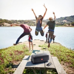 JBL BassPro Go In-vehicle Powered Sub & Portable Bluetooth Speaker 27 JBL BassPro Go In-vehicle Powered Sub & Portable Bluetooth Speaker -Home Electronics Store JBL BASSPRO GO PICNIC TABLE CROP x2 45acae98 d54f 4888 a100 f03dcb70b066