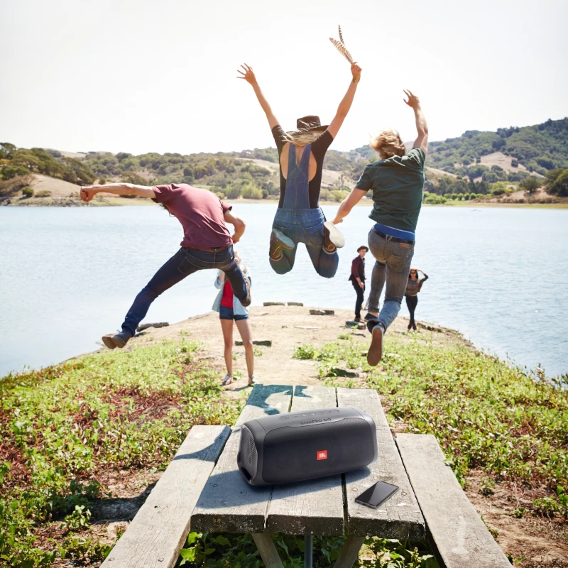 JBL BassPro Go In-vehicle Powered Sub & Portable Bluetooth Speaker 12 JBL BassPro Go In-vehicle Powered Sub & Portable Bluetooth Speaker - Image 12