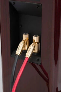 McIntosh LCR80 3-Way Center-Cannel Speaker -Home Electronics Store LCR80BackRWcableconnectorcloseup jpg