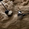 Final Audio B2 Single Driver (BA) Earphones