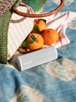 Sonos Roam Portable Smart Speaker With GSport Carbon Hardshell Travel Case -Home Electronics Store roam lifestyle outdoor picnic 25ed589f 3995 45bd 9d0f f72cff0a8367