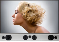 Totem Tribe Trio Solution Bar Speaker (Each)